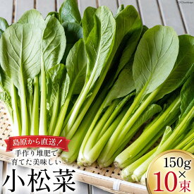 【ふるさと納税】 【BH013】小松菜 150g×10束
