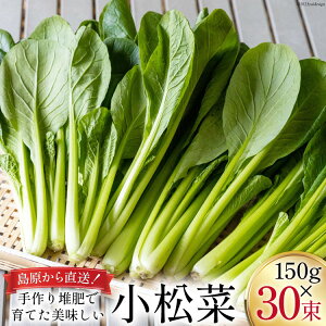 yӂ邳Ɣ[Łz CH014  150g×30