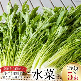 【ふるさと納税】【BH015】水菜 150g×5束