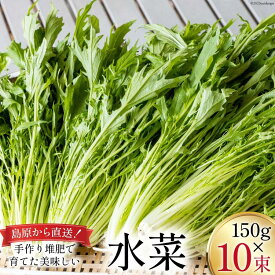 【ふるさと納税】 【BH016】水菜 150g×10束