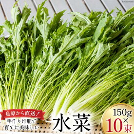 【ふるさと納税】【BH016】水菜 150g×10束