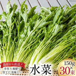 yӂ邳Ɣ[Łz CH017  150g×30
