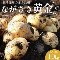 楽天市場】じゃがいも 送料無料 10kg 長崎の通販