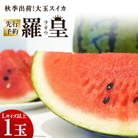 【ふるさと納税】 BH053【令和7年度出荷分】秋季出荷！大玉スイカ〜羅皇（ラオウ）〜（Lサイズ6kg以上×1玉入）[先行予約 数量限定 すいか スイカ 西瓜 フルーツ 果物 長崎 長崎県 島原市]
