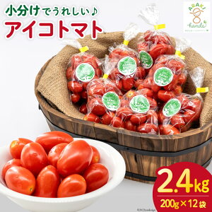yӂ邳Ɣ[Łz AH067yłꂵzACRg}g2.4kgi200g×12܁j