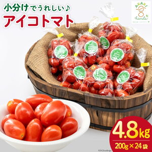 yӂ邳Ɣ[Łz AH068 ACRg}g 4.8kg 200g×24 [ g}g ~jg}g  ]