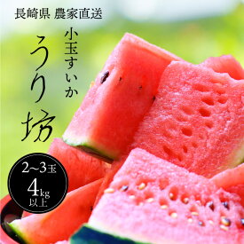 【ふるさと納税】 BH077 【ハウス栽培限定】前田ファームから直送！小玉スイカ うり坊 約4kg [ 小玉 スイカ すいか 野菜 果物 夏野菜 長崎県 島原市 ]