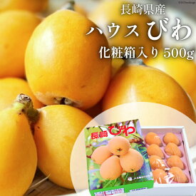 【ふるさと納税】 BH093 【期間限定発送】長崎県産 ハウスびわ 約500g 化粧箱入り [ フルーツ 果物 くだもの びわ ビワ 枇杷 数量限定 季節限定 初夏 長崎県 島原市 ]