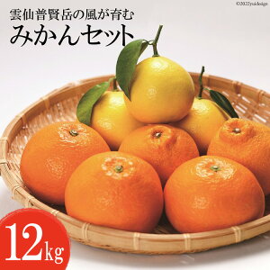 yӂ邳Ɣ[Łz CA040 _啁x̕ ݂Zbg 12kg [݂ ~J { 12L 茧 s]