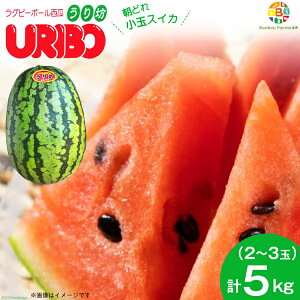 yӂ邳Ɣ[Łz BE276yߘa8NxoוzʃXCJuVv5kgi1.7kgȏ×2`3ʁj