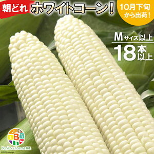 yӂ邳Ɣ[Łz BF112 10{oׁIu̒ǂzCgR[IvMTCYȏ×18{ȏySIɂHGoׁzyƂ낱 XC[gR[ Ho   茧 