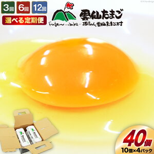 yӂ邳Ɣ[Łz  Iׂ _傽܂LTCY 40 (10×4pbN) (37{⏞3) [  ܂  { ԗ ʎq VN 3 6 12 ˂_傽܂ 茧 