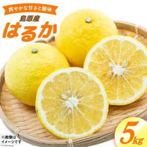 yӂ邳Ɣ[Łz BD020 Xʎ́w ͂邩 x5kg [݂ ~J 5L ʕ Xʎ 茧 s]