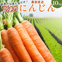 楽天市場】訳あり 人参 10kgの通販