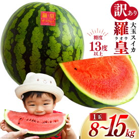 【ふるさと納税】 BH055【令和8年度出荷分】訳あり 大玉スイカ～羅皇（ラオウ）～（8〜15kg）[先行予約 数量限定 すいか スイカ 西瓜 フルーツ 果物 長崎 長崎県 島原市]
