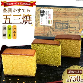 【ふるさと納税】AH165 肥前島原 豊潤かすてら 250g×3種 セット 【 五三焼 カステラ かすてら カット済み 抹茶 黒糖 和菓子 お菓子 スイーツ おやつ お土産 松井老舗 長崎県 島原市 】