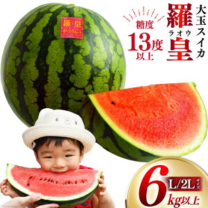 yӂ邳Ɣ[Łz AH167yߘa8NxoוziIʃXCJ ` ci IE j`i L/2LTCY 6kgȏ j[ XCJ    ʕ t[c gc_ 茧 s]