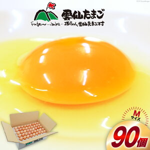 yӂ邳Ɣ[Łz BI027 ՂI _傽܂MTCY 90(85{⏞5) [  ܂  { ԗ ʎq VN ˂_傽܂ 茧 s ]