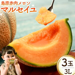 yӂ邳Ɣ[Łz BI113 yߘa8Nxoוz ԓu}ZCvi3L×3ʁj [  ߂ }ZC ԓ t[c ʕ X 茧 s ]