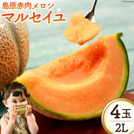 【ふるさと納税】 BI114 【令和8年度出荷分】 島原赤肉メロン「マルセイユ」（2L×4玉） [ メロン めろん マルセイユ 赤肉 フルーツ 果物 小原商店 長崎県 島原市 ]