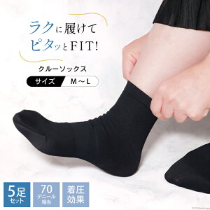 yӂ邳Ɣ[Łz AI181 Ns^b N[\bNX 5 Zbg [ C  \bNX fB[X wl   ubN tH[}  ۉ XN[\bNX ₷݃\bNX vX