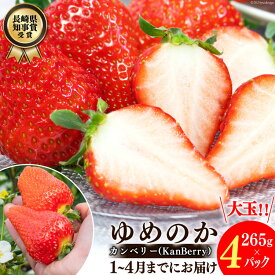 【ふるさと納税】 【期間限定発送】EA050 長崎県知事賞受賞【 大玉 いちご 】「 ゆめのか （3L〜5L）」265g×4パック ＜1〜4月にお届け＞ レビューキャンペーン