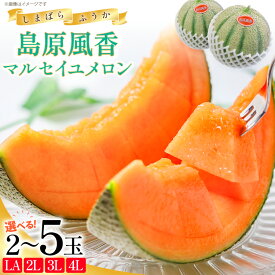 【ふるさと納税】【令和8年度出荷分】マルセイユメロン～島原風香～ 選べるサイズ 個数 [ 2玉 4玉 5玉 メロン 赤肉 めろん 果物 くだもの フルーツ 産地直送 長崎県 島原市 422037023]