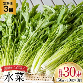 【ふるさと納税】 AI335 定期便 3回 水菜 10束 [ 野菜 みずな サラダ やさい 冷蔵 葉物野菜 田中農園 長崎県 島原市 ]