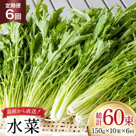 【ふるさと納税】 AI336 定期便 6回 水菜 10束 [ 野菜 みずな サラダ やさい 冷蔵 葉物野菜 田中農園 長崎県 島原市 ]