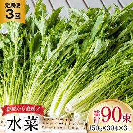【ふるさと納税】 AI338 定期便 3回 水菜 30束 [ 野菜 みずな サラダ やさい 冷蔵 葉物野菜 田中農園 長崎県 島原市 ]