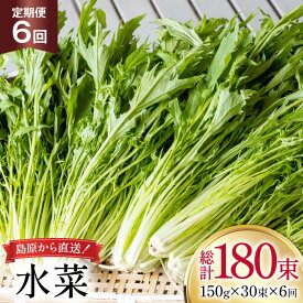 【ふるさと納税】 AI339 定期便 6回 水菜 30束 [ 野菜 みずな サラダ やさい 冷蔵 葉物野菜 田中農園 長崎県 島原市 ]
