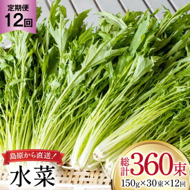 【ふるさと納税】 AI340 定期便 12回 水菜 30束 [ 野菜 みずな サラダ やさい 冷蔵 葉物野菜 田中農園 長崎県 島原市 ]