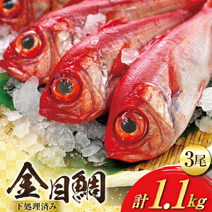 yӂ邳Ɣ[Łz AJ436 ڑ TCY (300`400g) 3 v1.1kgx  ς  [   ^C L_C L ^pbN  ϕt Ă Ⓚ Ă ВHi 