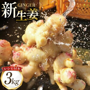 yӂ邳Ɣ[Łz AI381 SNI VI 3kg [ I 傤 VEK  ₳ WW[  Y l 茧 s ]