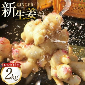 【ふるさと納税】 BI380 島原百年生姜 新生姜 2kg [ 生姜 しょうが ショウガ 野菜 やさい ジンジャー 薬味 国産 人作 長崎県 島原市 ]
