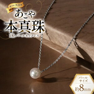 yӂ邳Ɣ[Łz AI387 Marycoco {^ 8mm ꗱ p[lbNX Vo[ P[Xt [NA801 lbNX ꗱlbNX p[ ^ AR^ {^ WG[ ANZT[ A