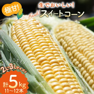 �y�ӂ邳�Ɣ[�ŁzAI207�y�ߘa8�N�x�o�ו��z�Ƃ����낱�� �X�C�[�g�R�[�� �C�G���[ 2L~3L�T�C�Y 11�{~12�{ �v5kg [ �g�E�����R�V �R�[�� �S�[���h���b�V�� ��� 5�L�� ���������� SAKAI FARM ���茧 