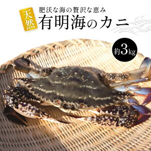 yӂ邳Ɣ[Łz BA061 VR̍DE엀ȊCґȌb LC̃Jj [  Jj I ^Kj nI Kl ① Ƌg 茧 s ]
