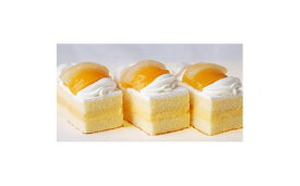 【ふるさと納税】長崎レトロモダンケーキ　シースクリーム10個