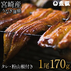 【ふるさと納税】魚荘のうなぎ蒲焼き(1尾入り) / うなぎ ウナギ 鰻 蒲焼き 蒲焼 / 諫早市 / 有限会社魚荘 [AHCK001]