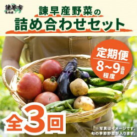 【ふるさと納税】【3回定期便】諫早産野菜の詰め合わせ(8～9品目程度) / 季節 旬 野菜 春野菜 夏野菜 秋野菜 / 諫早市 / 肥前グローカル株式会社 [AHDI001]