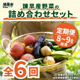 【ふるさと納税】【6回定期便】諫早産野菜の詰め合わせ(8～9品目程度) / 季節 旬 野菜 春野菜 夏野菜 秋野菜 / 諫早市 / 肥前グローカル株式会社 [AHDI002]