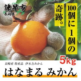 【ふるさと納税】【先行予約】《伊木力みかん》はなまるみかん(贈答用5kg)[AHCF003]