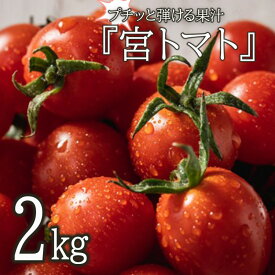 【ふるさと納税】プチッと弾ける果汁「宮トマト」2kg　ミニトマト　プチトマト[AHCG012]