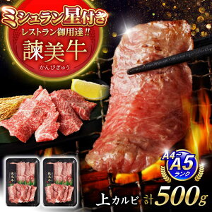 yӂ邳Ɣ[ŁzyÃuhĂňĂz| Jr 500g(250g×2) /  イɂ a  ē ₫ɂ Y Jr  / |s / Гy_[AHAD101]