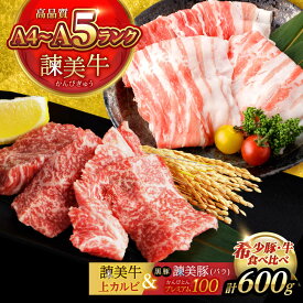 【ふるさと納税】【ブランド牛＆ブランド豚の焼肉食べ比べ】諫美牛 上カルビ 300g ＆ 黒豚諫美豚プレミアム100 バラ肉 300g / カルビ 牛肉 食べ比べ A5 焼肉 豚バラ スライス ぶた ばらすらいす 小分け 肉 薄切り / 諫早市 / 株式会社土井農場[AHAD103]