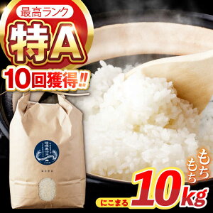 yӂ邳Ɣ[ŁzqR7NVārz_@ ɂ܂  10kg /   R    ɂ܂ / |s / Гy_[AHAD062] V ܂