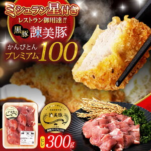 yӂ邳Ɣ[Łz|؃v~A100 q (Jĉ) 300g / ؓ  q  Ƃ񂩂 gJc / |s / Гy_[AHAD076]