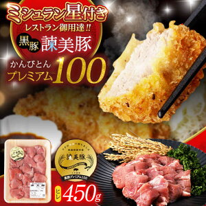 yӂ邳Ɣ[Łz|؃v~A100 q (Jĉ) 450g / ؓ  q  Ƃ񂩂 gJc / |s / Гy_[AHAD077]