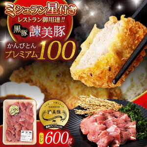 yӂ邳Ɣ[Łz|؃v~A100 q (Jĉ) 600g / ؓ  q  Ƃ񂩂 gJc / |s / Гy_[AHAD078]